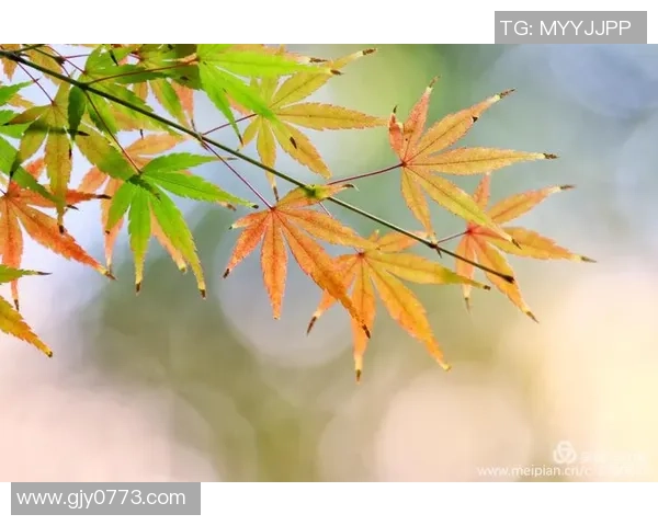 年薪5470万,带队为难0胜4负!买卖你来做中心,可你逐步打成绿叶 年薪5470万,带队为难0胜4负!买卖你来做中心,可你逐步打成绿叶